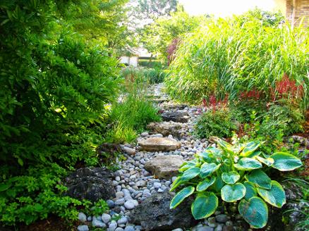 ornamental grasses