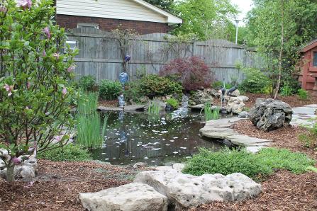 Koi Pond