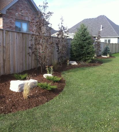 garden along fence