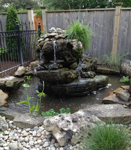 Fish Pond with Rock Feature