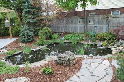 Waterfall and Koi Pond